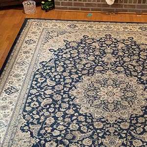 Rug Deep Cleaning Process