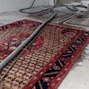 Rug Steam Cleaning